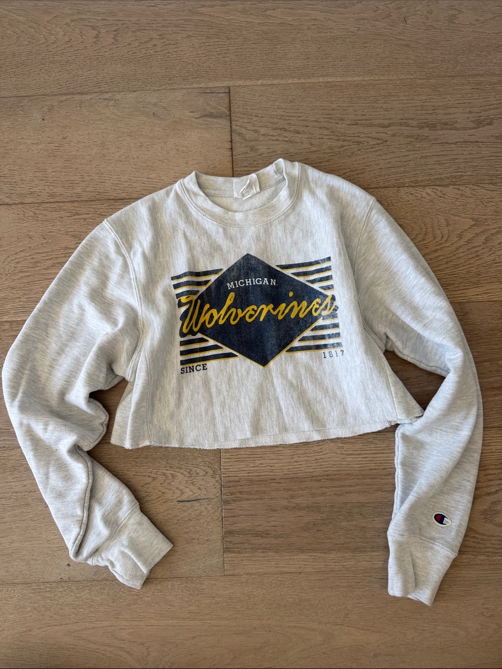 Champion Cropped Crewneck Sweatshirt in Light Gray with Navy & Yellow Graphic